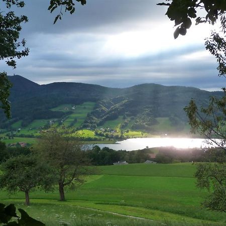 Familienferienhof Stabauer เซลอัมมัวส์ ภายนอก รูปภาพ