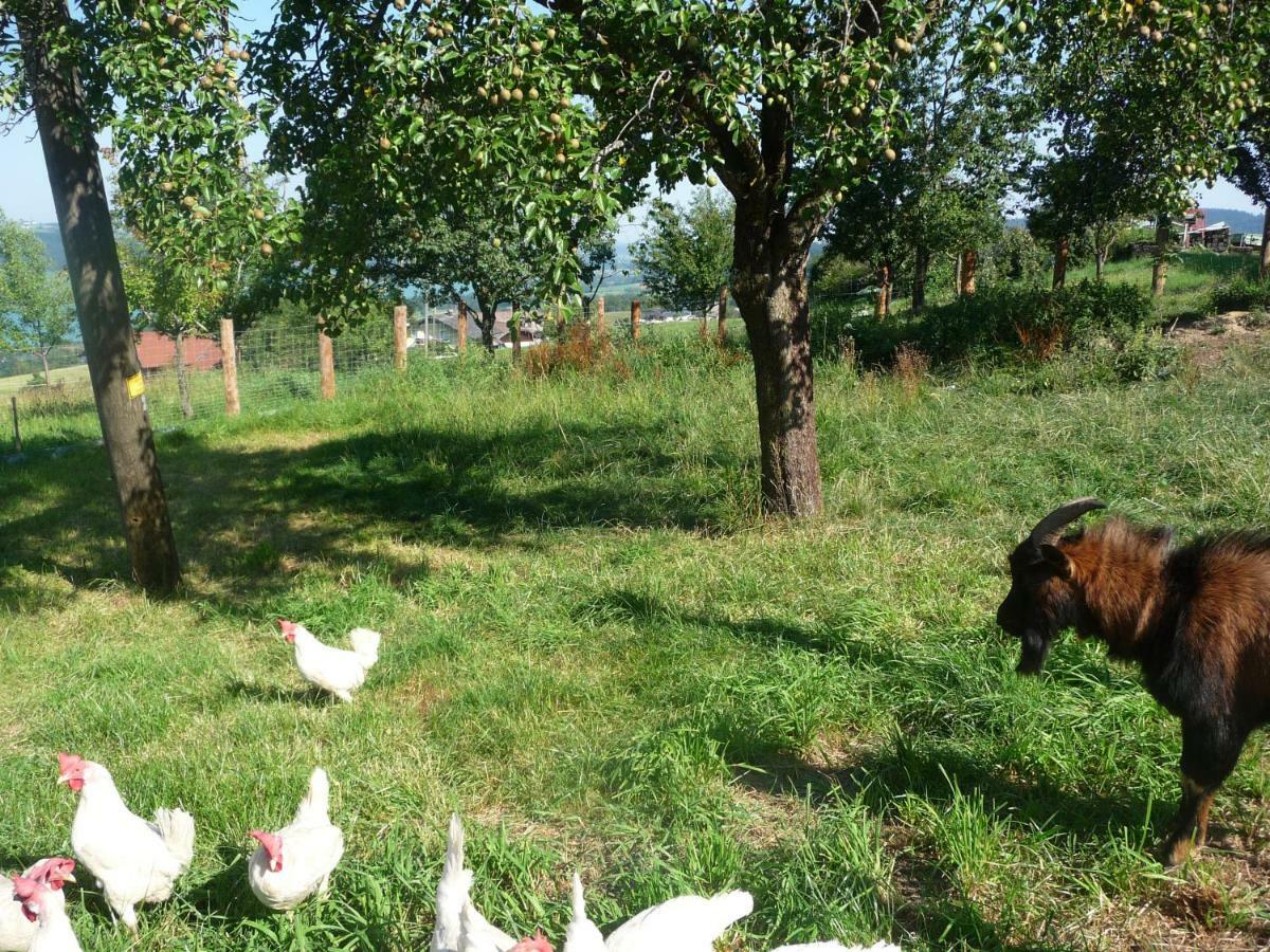 Familienferienhof Stabauer เซลอัมมัวส์ ภายนอก รูปภาพ